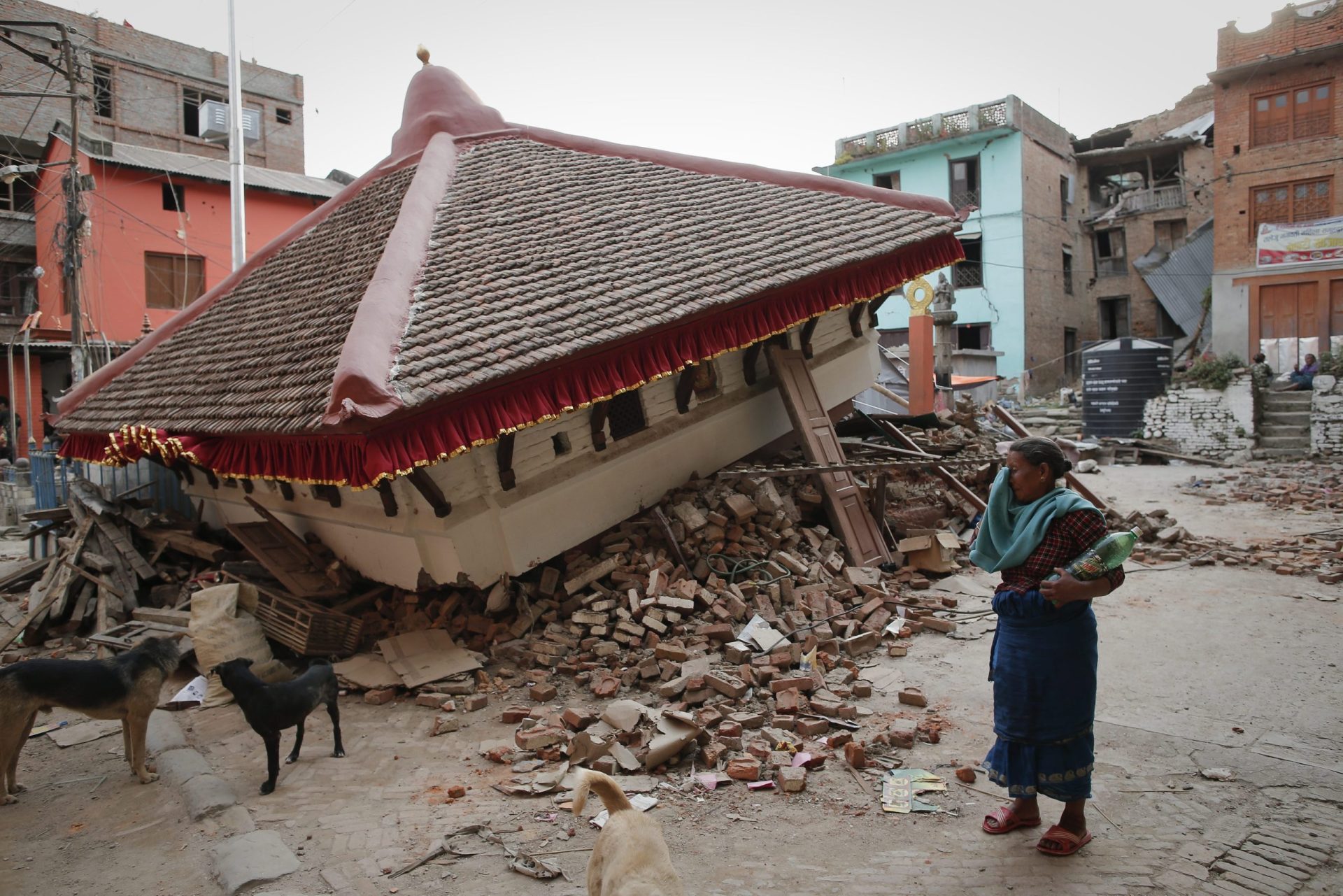 Nepal. Casal português sobreviveu ao sismo mas ficou para ajudar