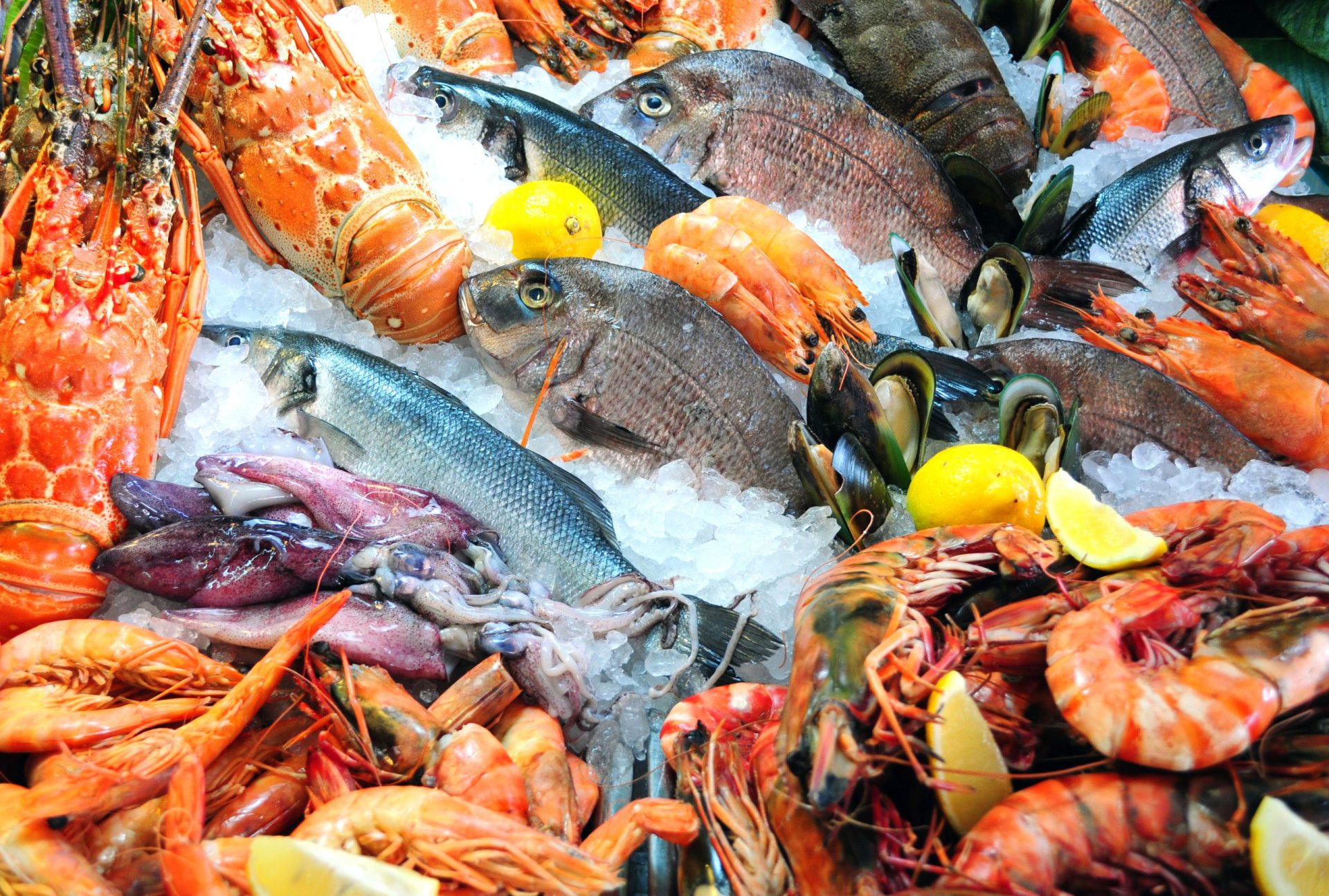 Mercado de peixe português distinguido por jornal americano