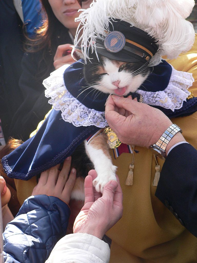 Morreu ‘Tama’, a gata que era chefe de uma estação de comboios