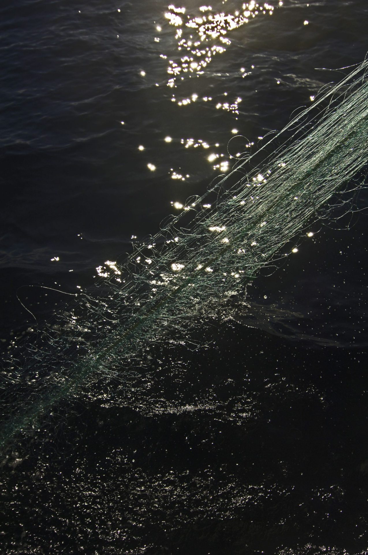 Embarcação de pesca naufragou ao largo de Aveiro