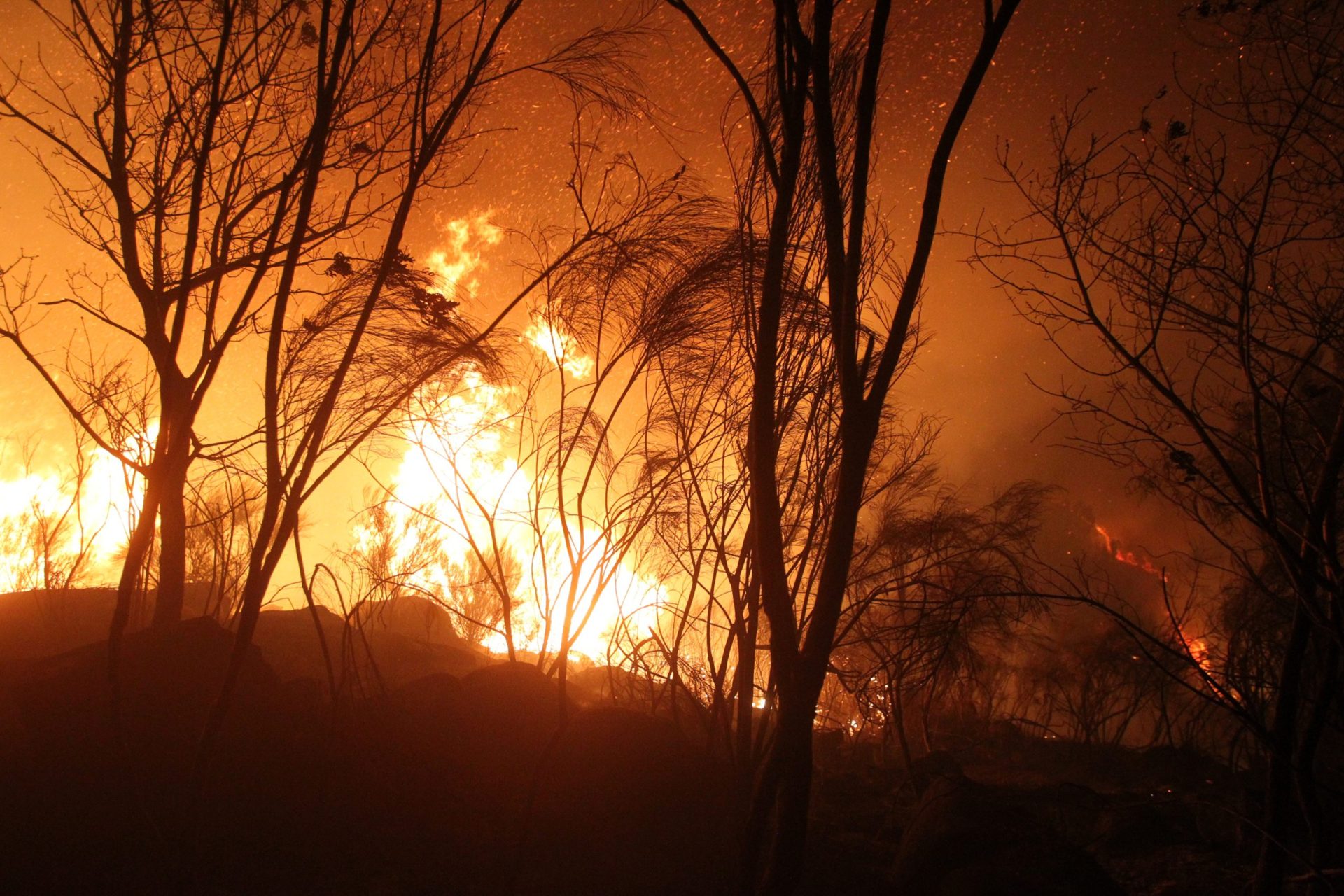 Número de incêndios e área ardida acima da média dos últimos dez anos