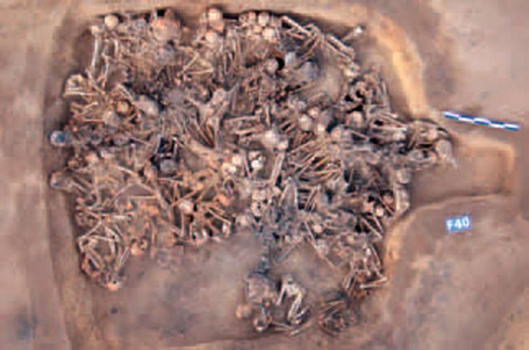 Mais de 90 esqueletos encontrados numa casa com 5000 anos