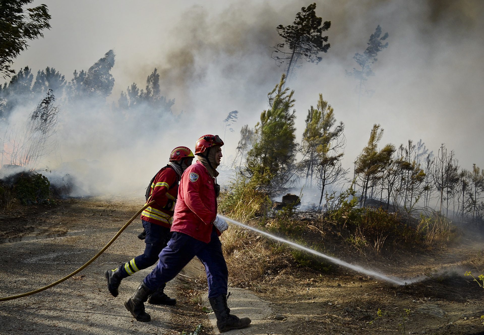 Dispositivo de combate a incêndios tem ‘respondido adequadamente’, diz Anabela Rodrigues