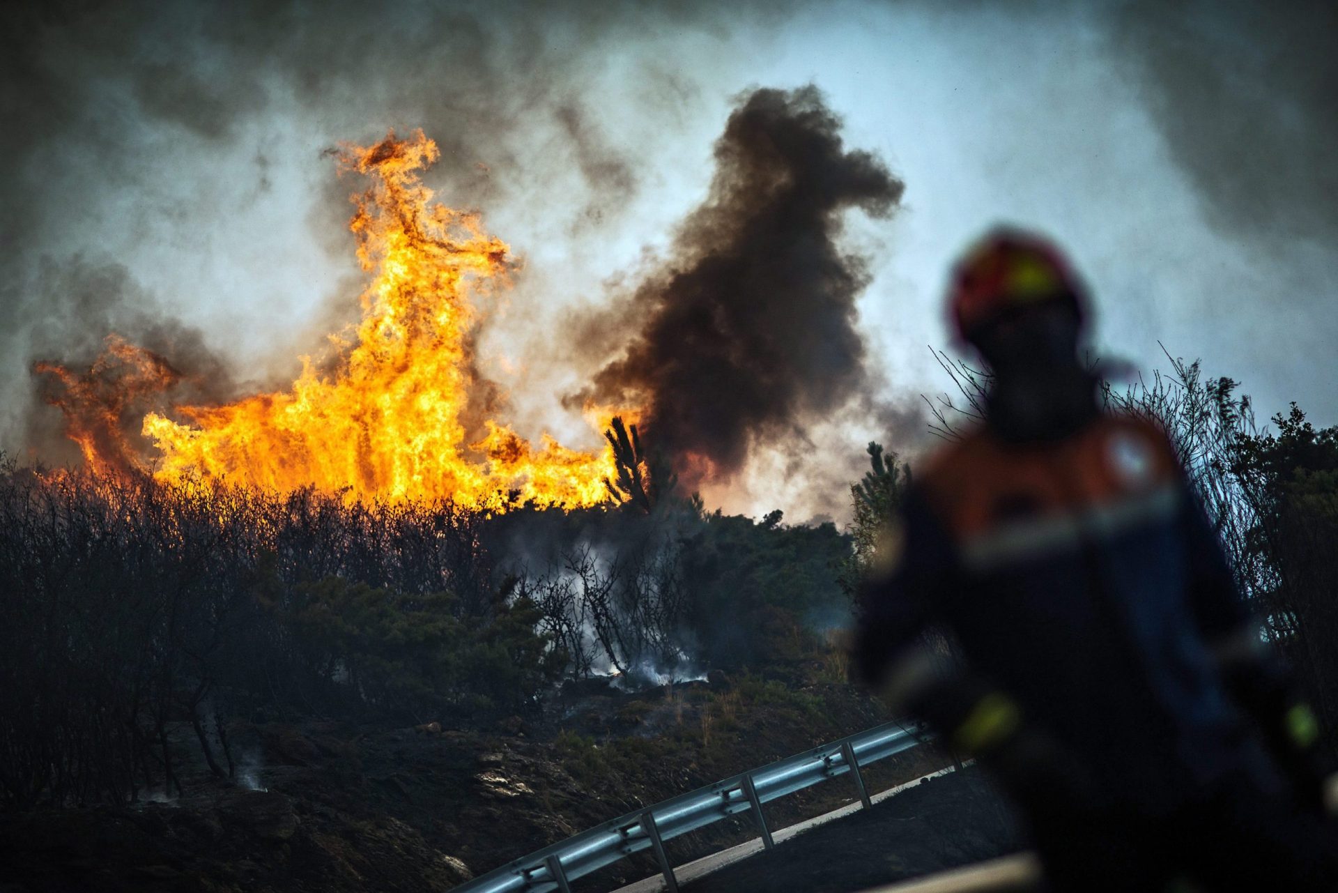 Fogo consumiu cerca de três mil hectares em Vila Nova de Cerveira