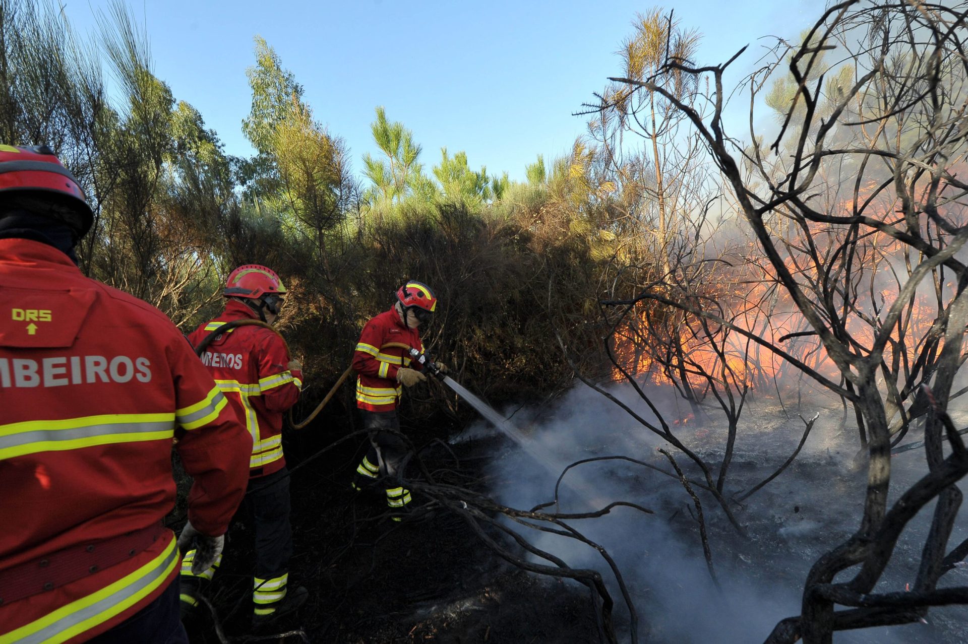PJ detém alegado autor de 11 incêndios florestais em Portalegre