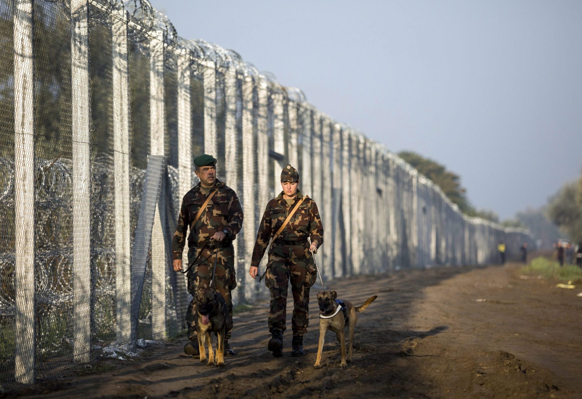 Primeiro-ministro húngaro apoia decisão alemã de controlar as fronteiras