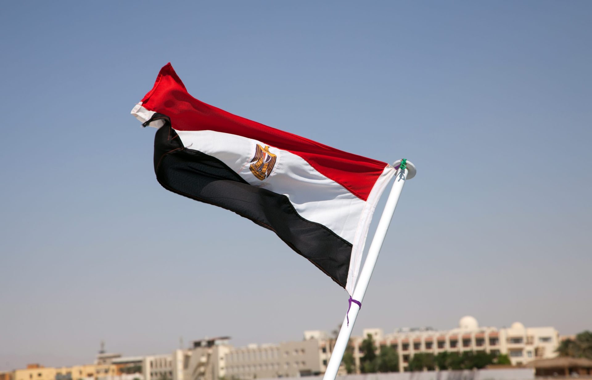 Egito. Forças de segurança matam ‘por engano’ 12 turistas