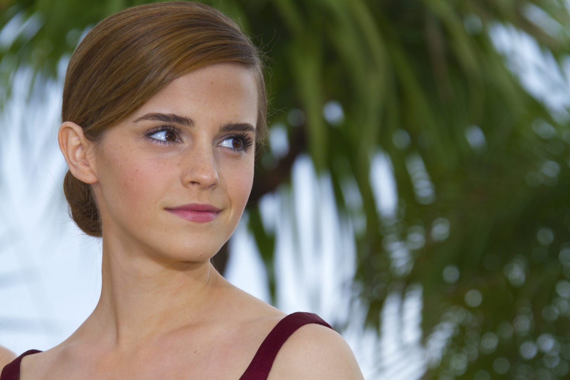 Emma Watson mencionada nos Papéis do Panamá