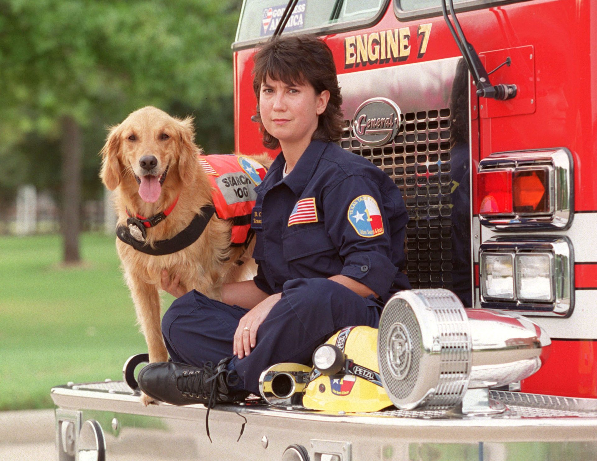 Morreu Bretagne, a cadela que salvou centenas de pessoas no 11 de setembro