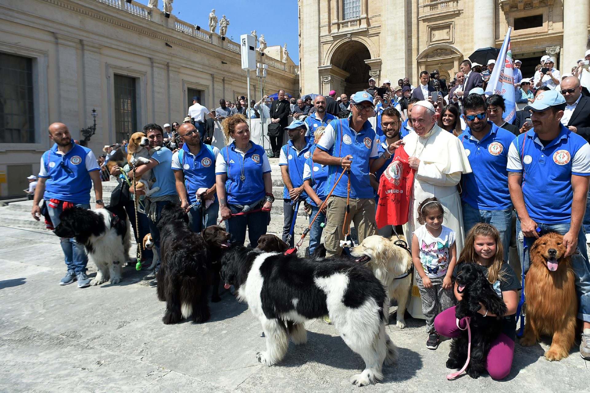 Papa recebe ‘cães heróis’ no Vaticano