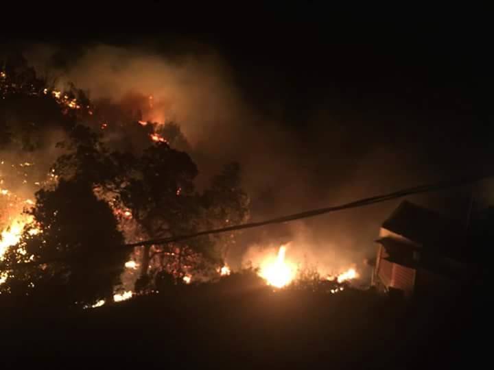 Madeira: o caos provocado pelas chamas