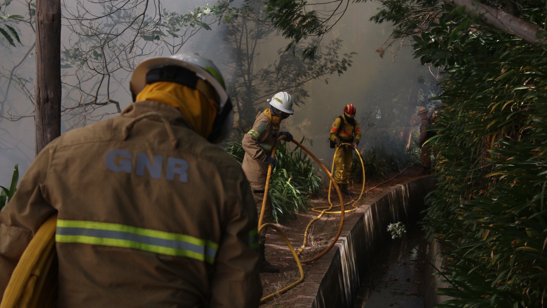 Incêndios: Primeiro semestre deste ano foi o mais calmo dos últimos cinco anos na Madeira