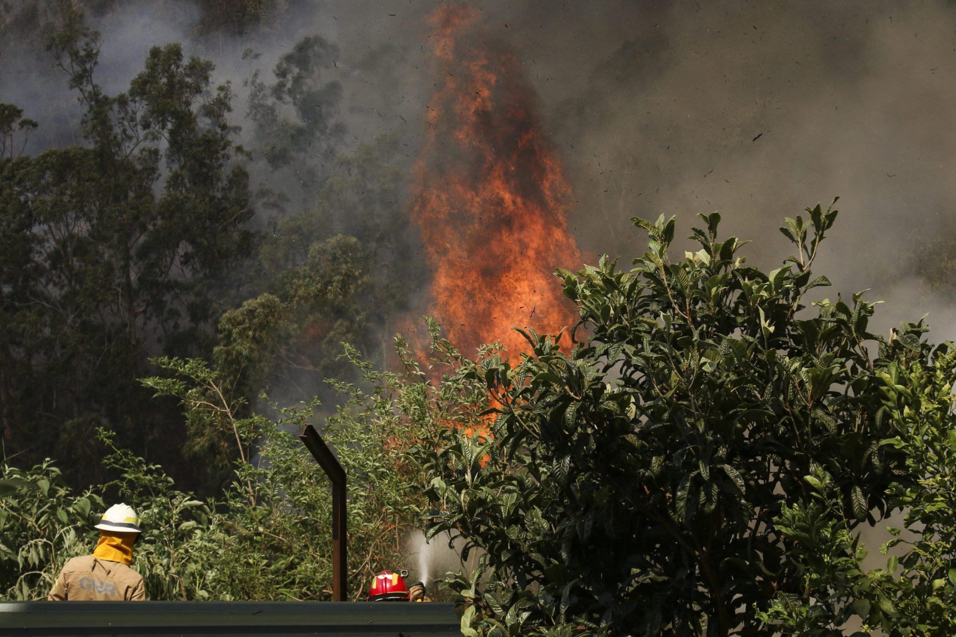 Incêndio no Funchal ainda não está controlado