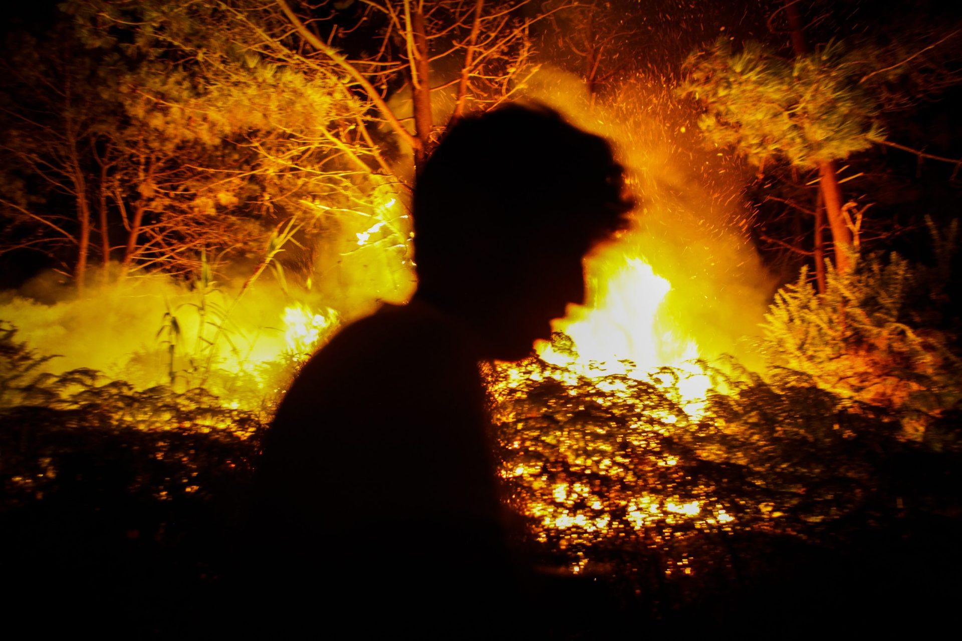 Incêndio em Amarante combatido por mais de 700 bombeiros