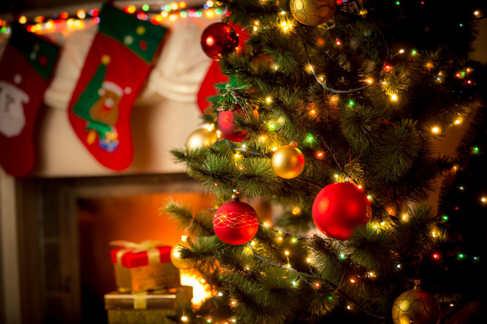 Criança morre eletrocutada por luzes de árvore de Natal