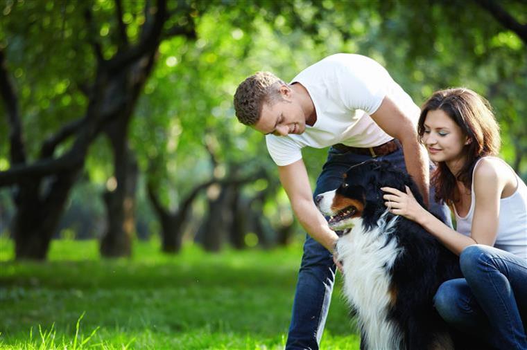 Acredita que as pessoas que têm cães são mais felizes?