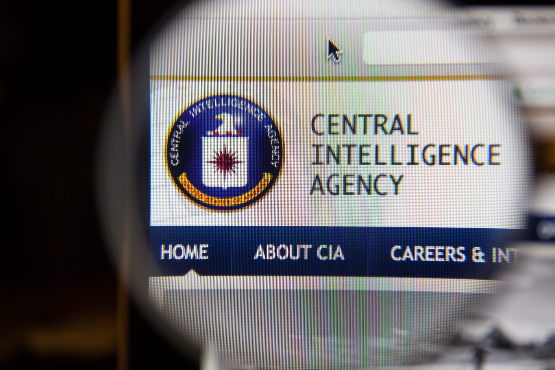 Ex-agente da CIA libertada
