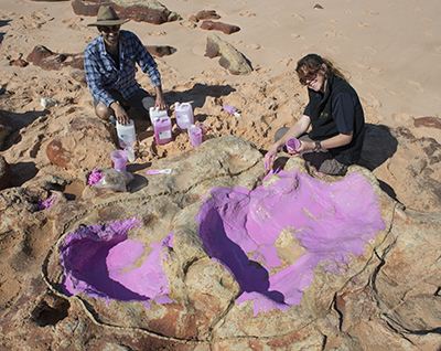 O ‘Parque Jurássico’ da Austrália. Descobertas as maiores pegadas de dinossauro do mundo