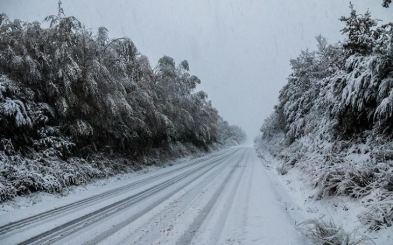 Queda de neve em Viseu obriga a encerramento de escolas