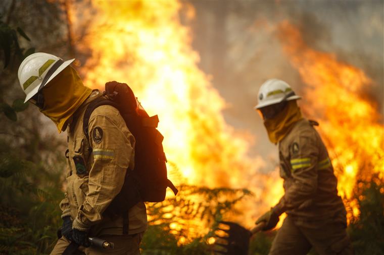 Cinco distritos apresentam risco máximo de incêndio