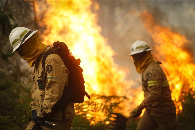 Incêndio. Quase duas centenas de bombeiros combatem chamas em Águeda