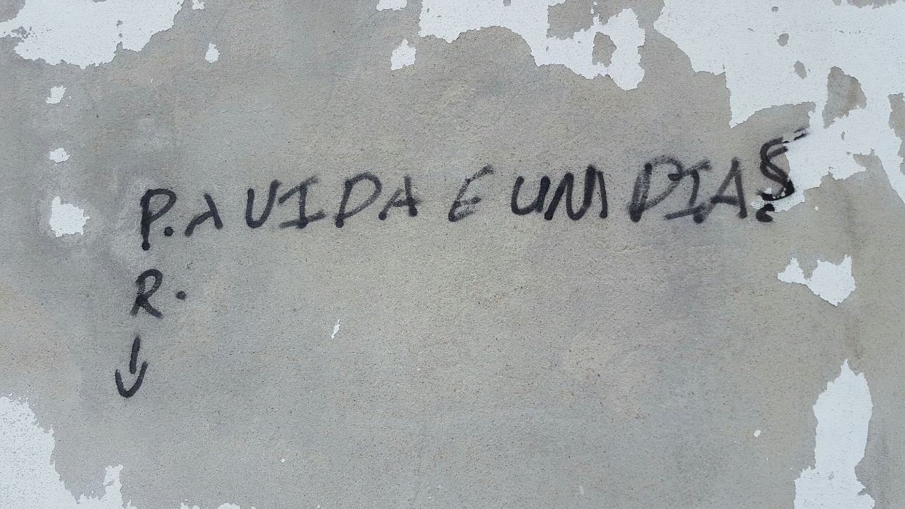 A vida é um dia?