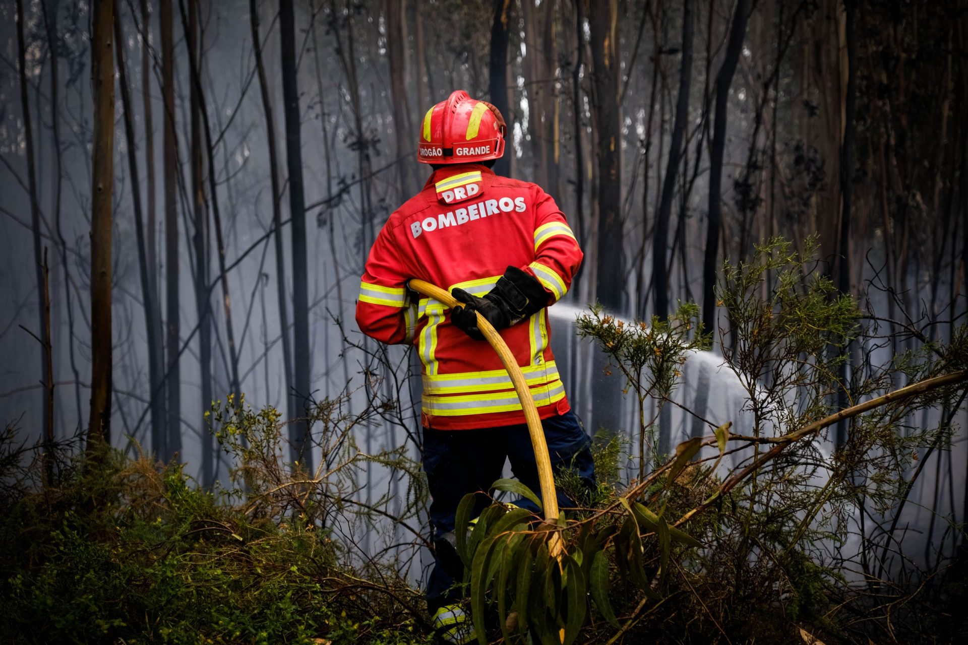 Governo alertado para ameaça de incêndios de risco elevado desde maio