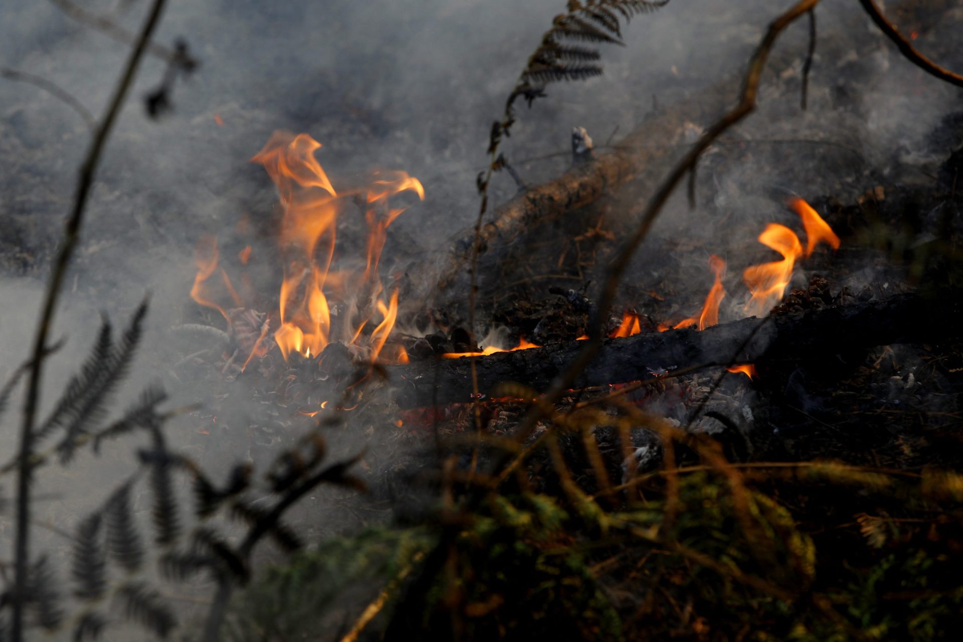 Incêndio em Góis é o que gera maior preocupação. 27 aldeias evacuadas