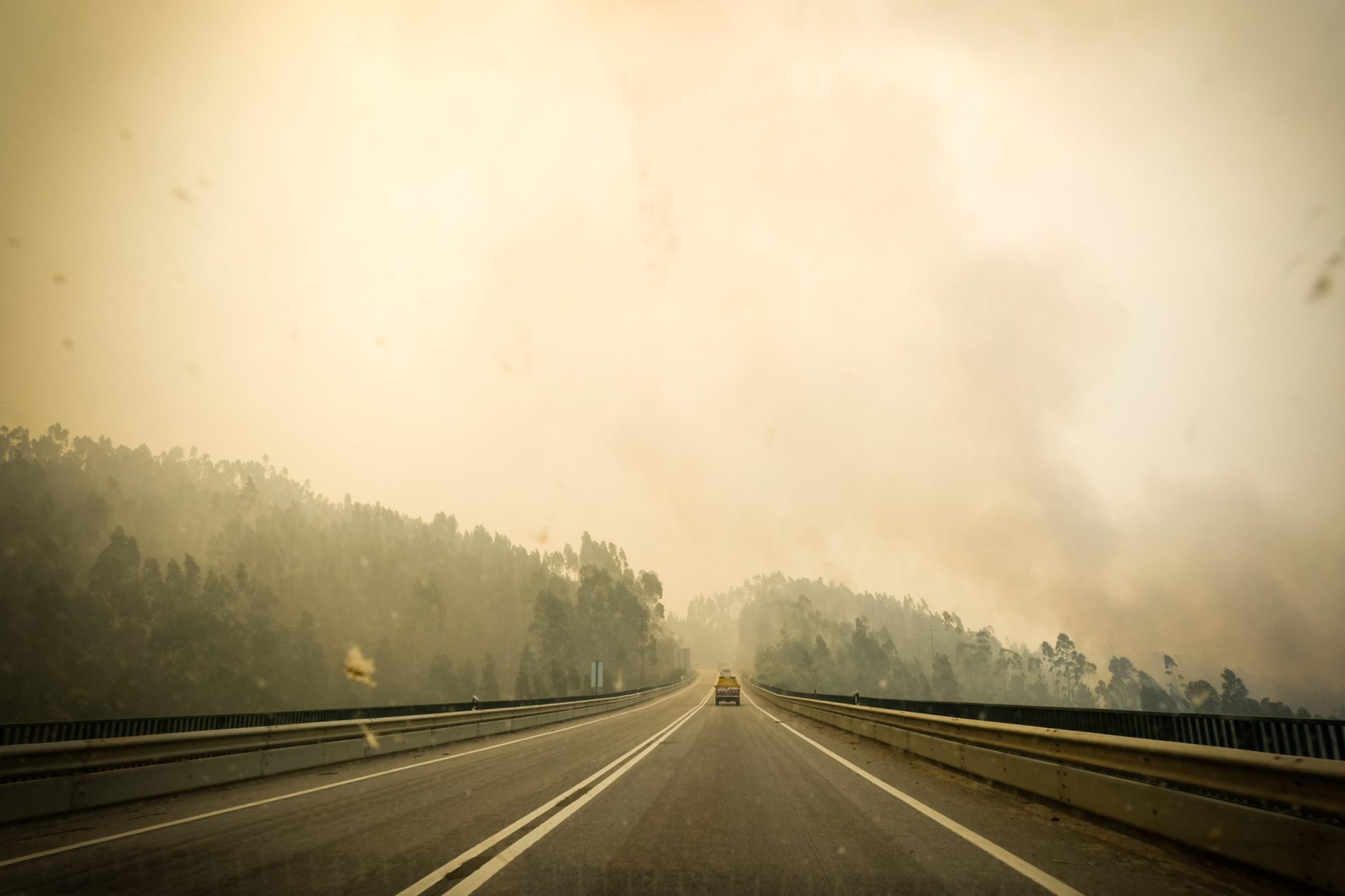 PSD e CDS querem apurar as causas do incêndio de Pedrógão