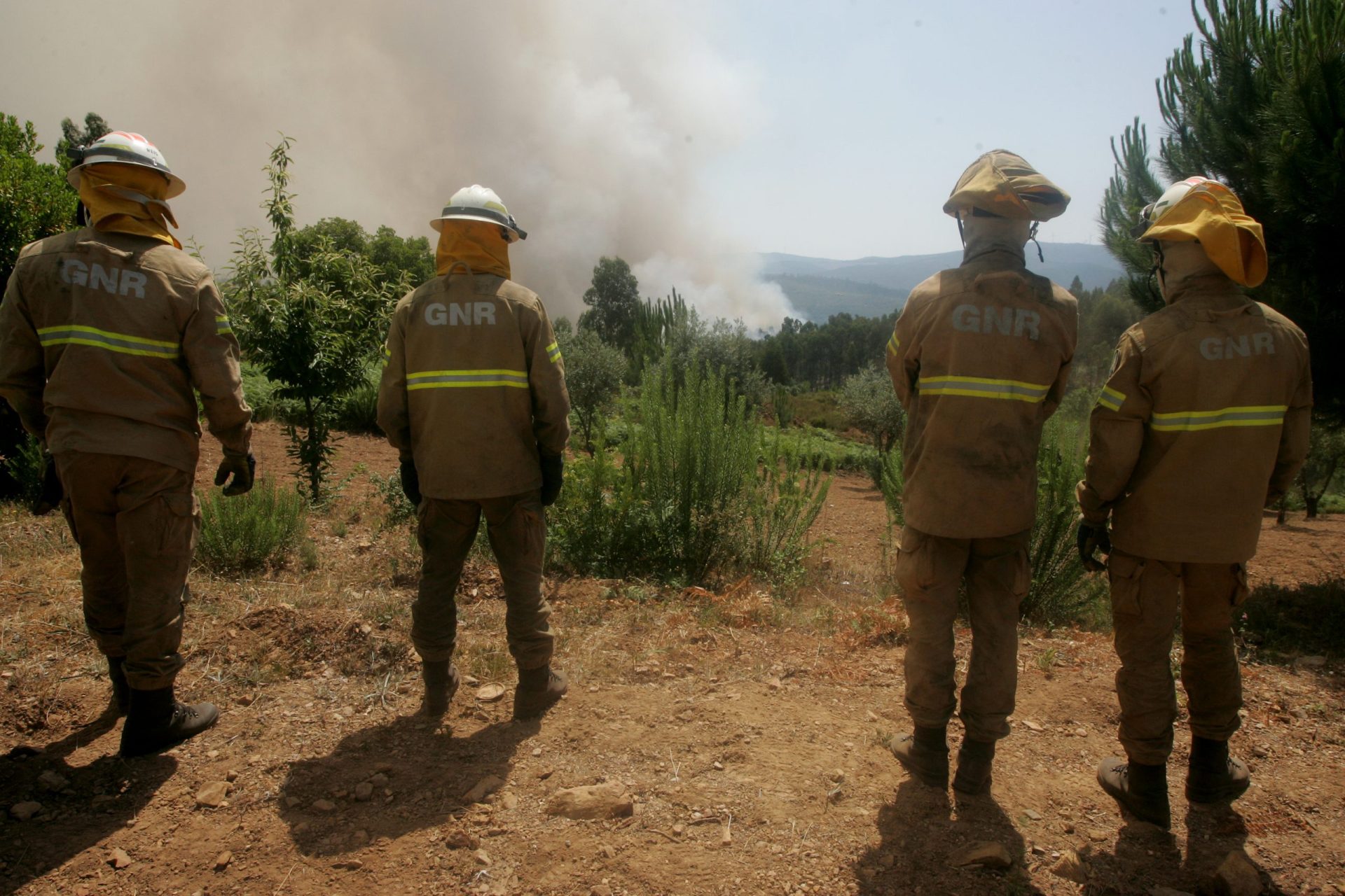 Incêndios: Número de feridos sobe para 204