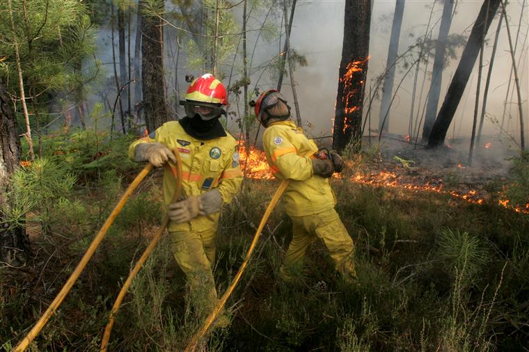 Incêndios em Góis. Populações usam contrafogo para travar chamas