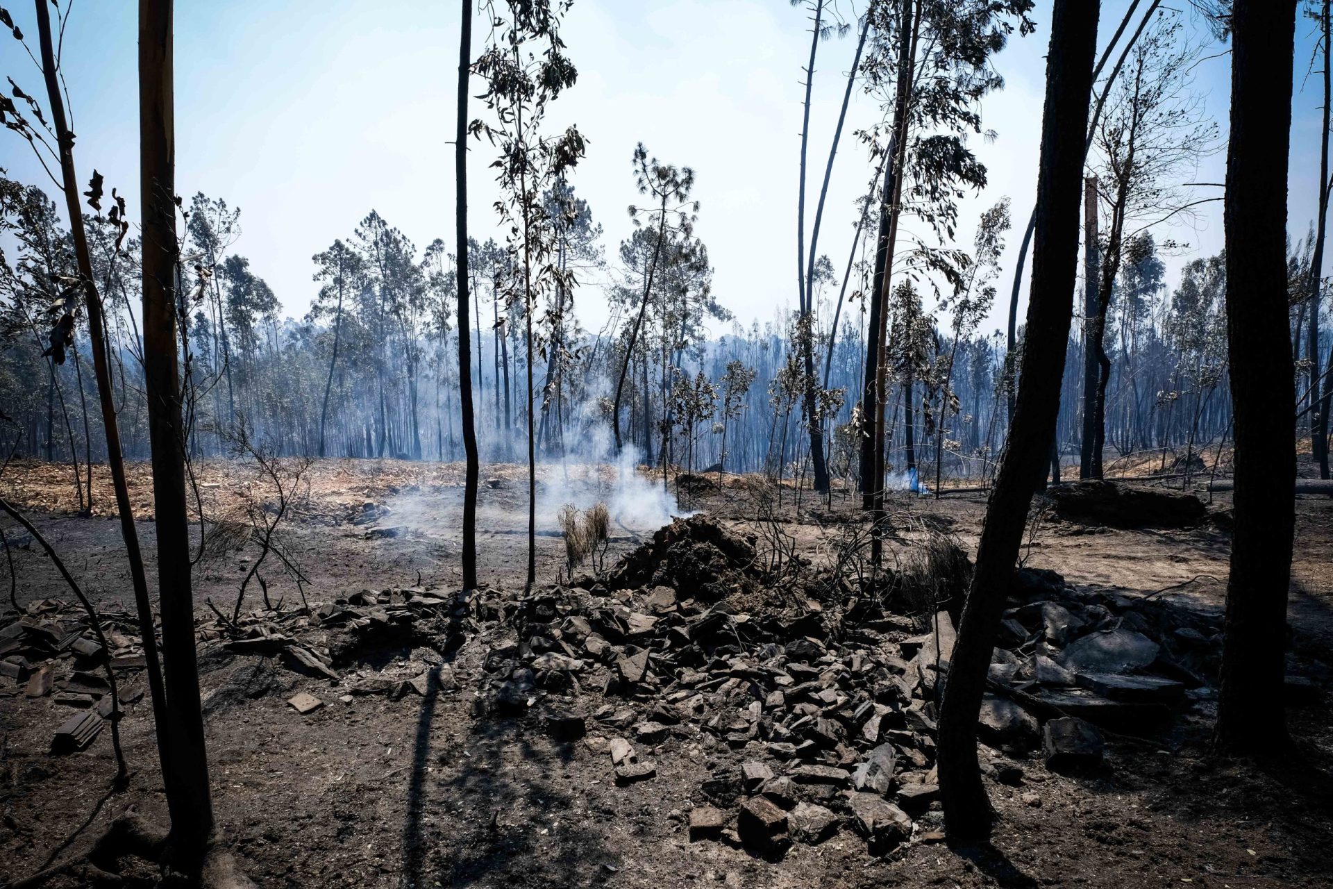 Proteção Civil reduz número de bombeiros no terreno a partir de hoje