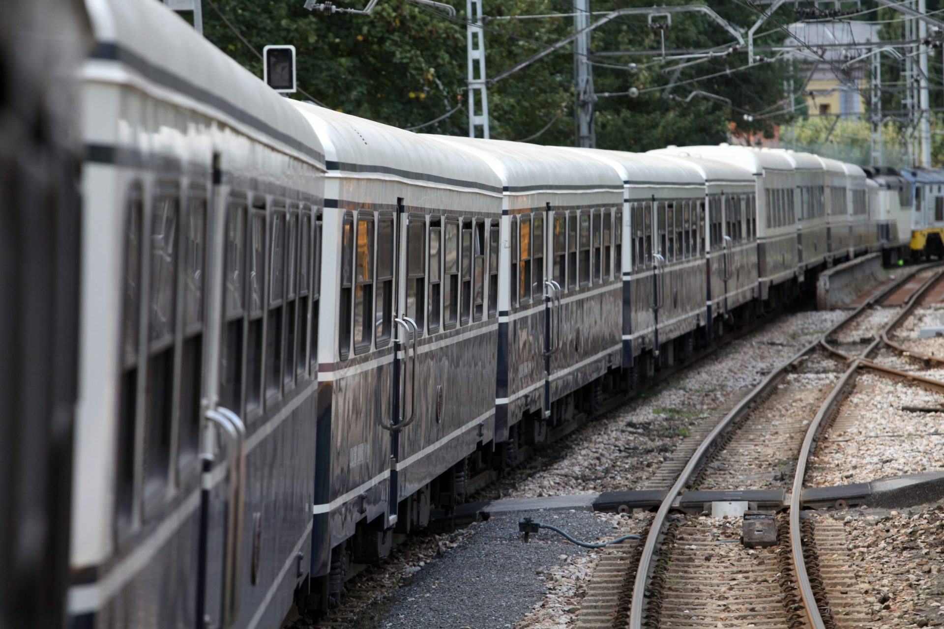 Adolescente morre colhida por comboio em Anadia