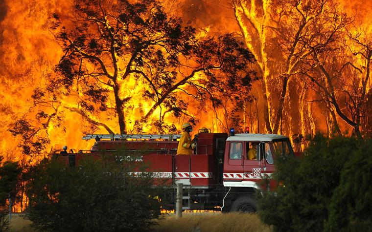 Espanha. Incêndio retira de 400 pessoas de casa