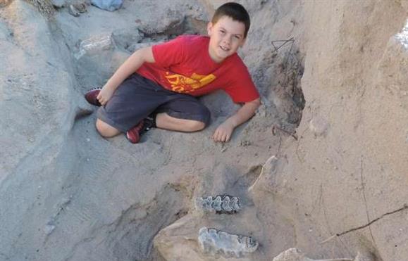 Cai numa vala e encontra fóssil com 1,2 milhões de anos
