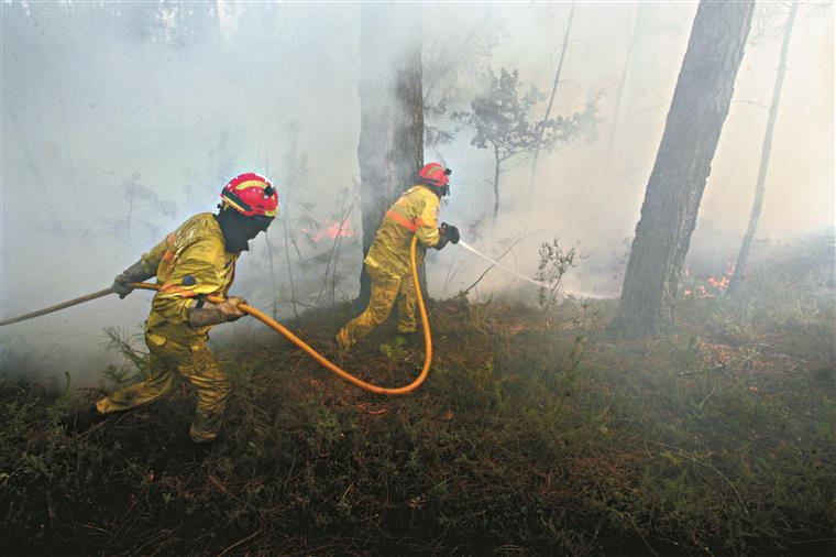 Incêndio em Setúbal reacendeu mas já está controlado