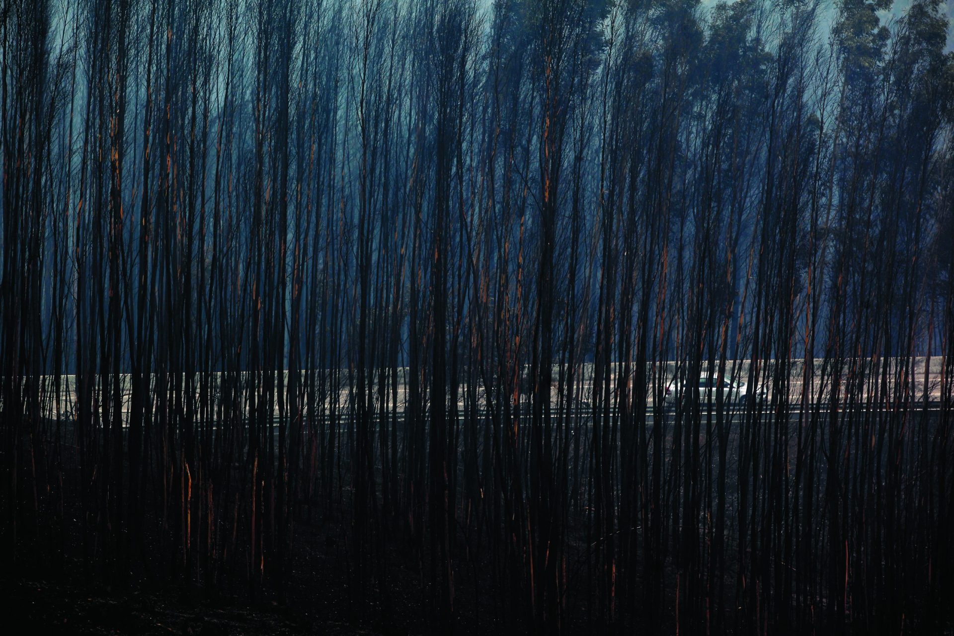 Pedrógão Grande: quando a história se repete