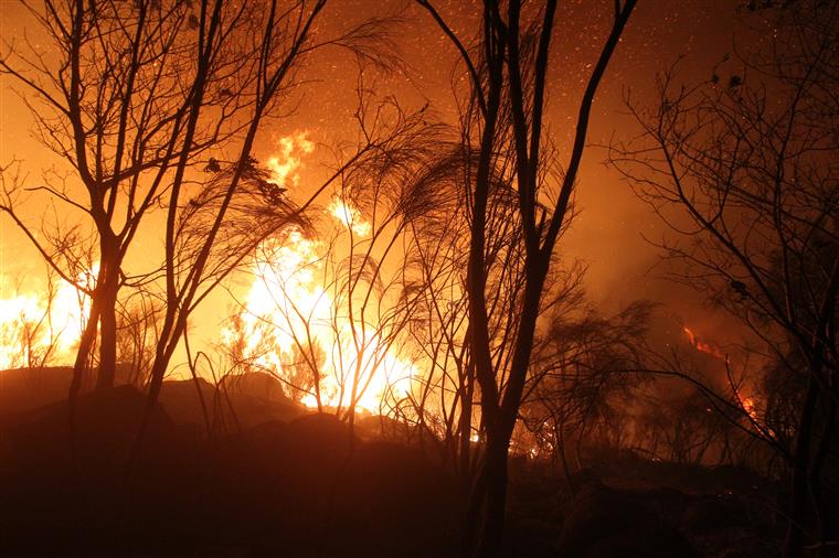 Quatro aldeias evacuadas em Abrantes devido a incêndio