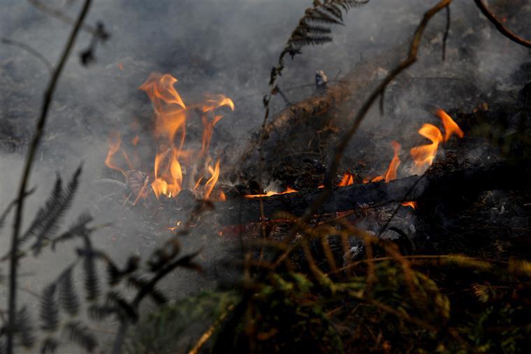 Incêndio em Vila de Rei está “novamente descontrolado”