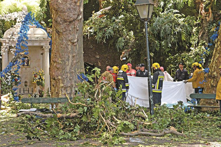 Governo decreta um dia de Luto Nacional devido a queda de árvore na Madeira