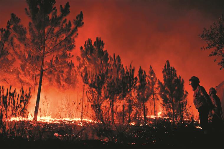 Fogos em Castelo Branco continuam a preocupar