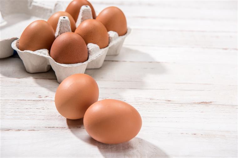 Holanda. Lançado alerta alimentar devido a ovos contaminados