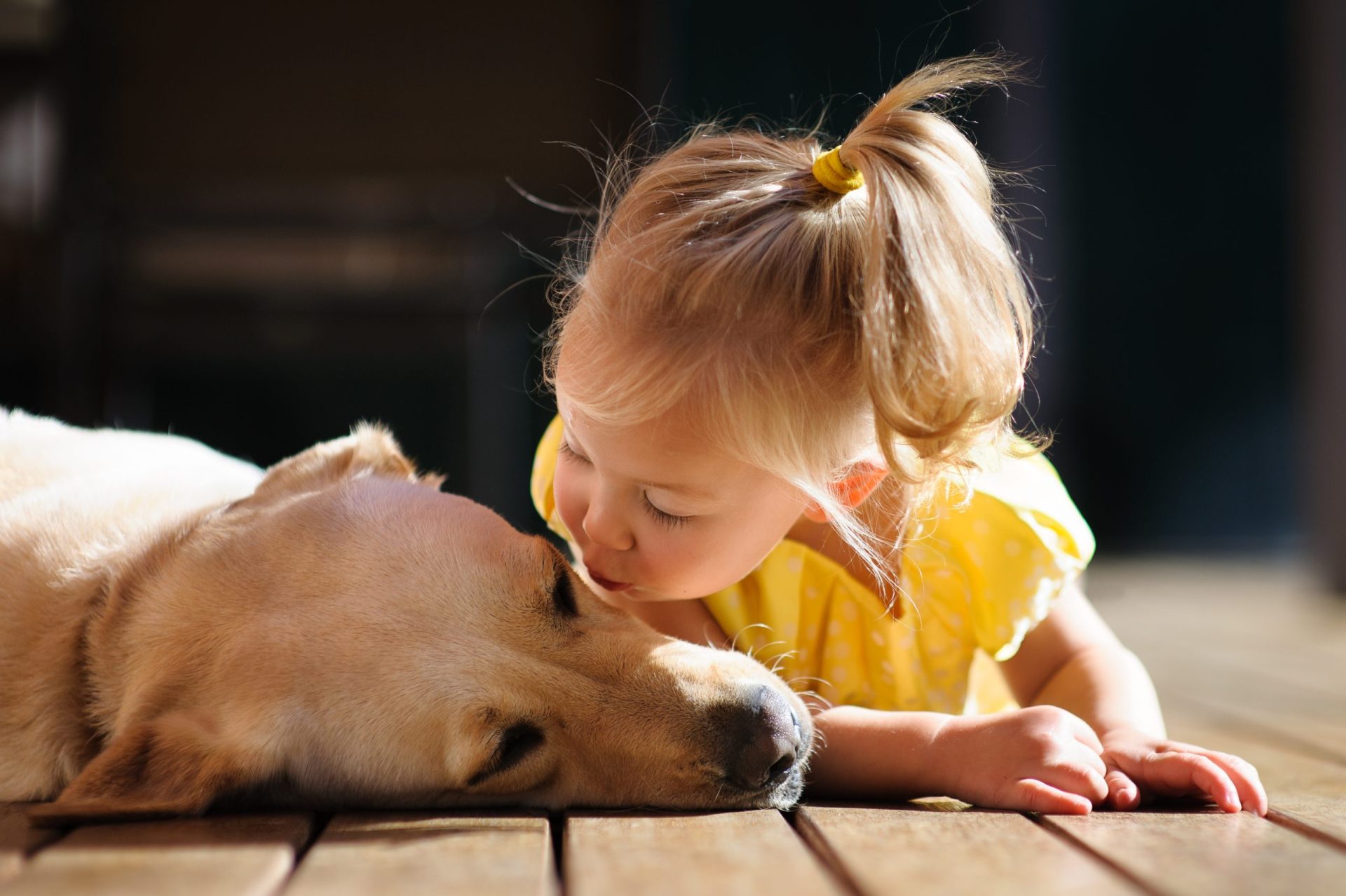 A amizade entre esta bebé e a sua cadela surda e cega tornou-se inquebrável [VÍDEO]