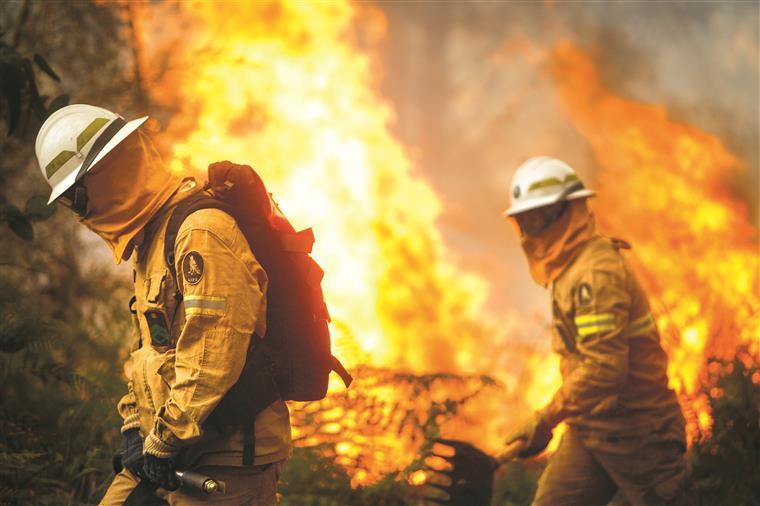 Mais de 100 bombeiros combatem incêndio nas Caldas da Rainha