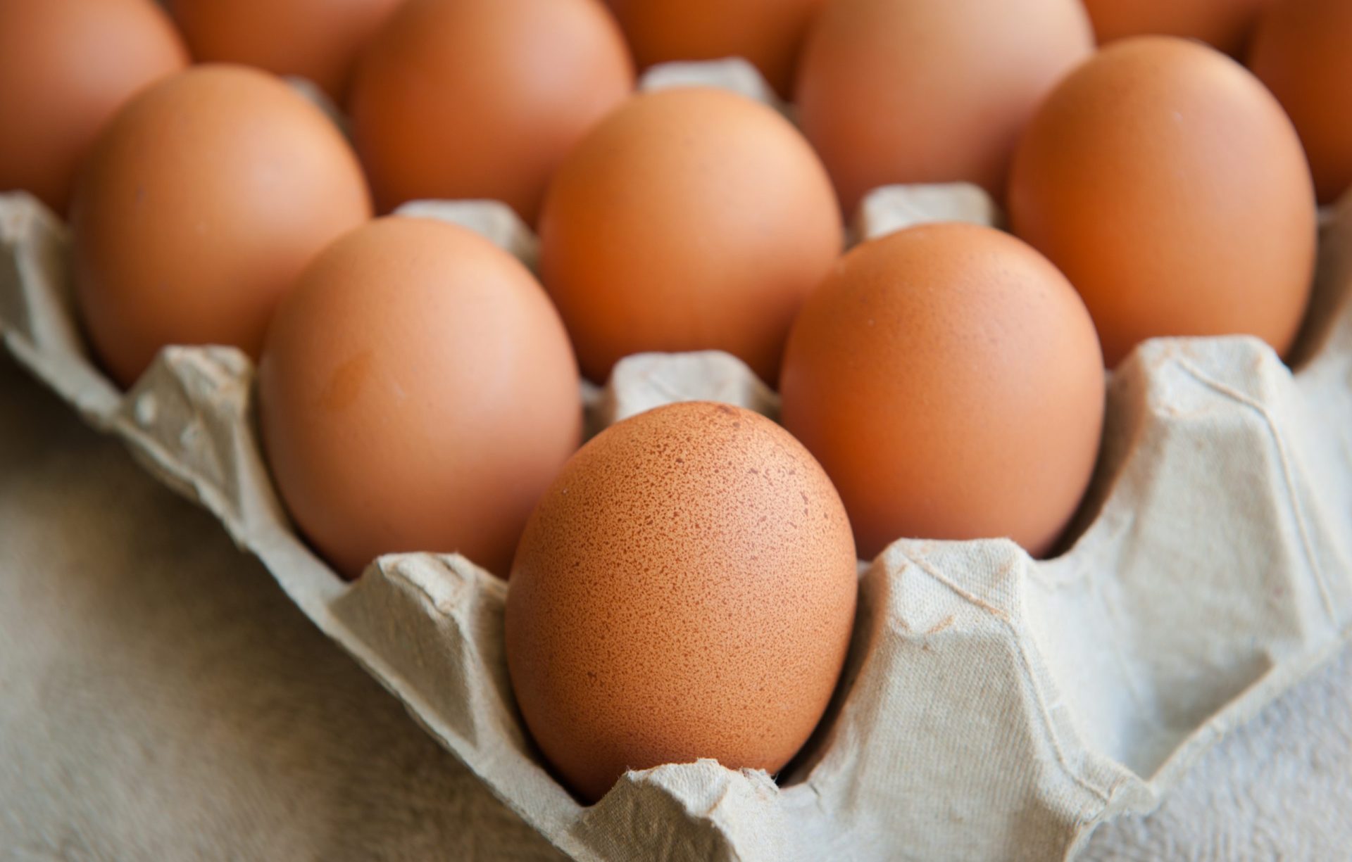 Afinal há ou não ovos contaminados em Portugal? Governo diz que não