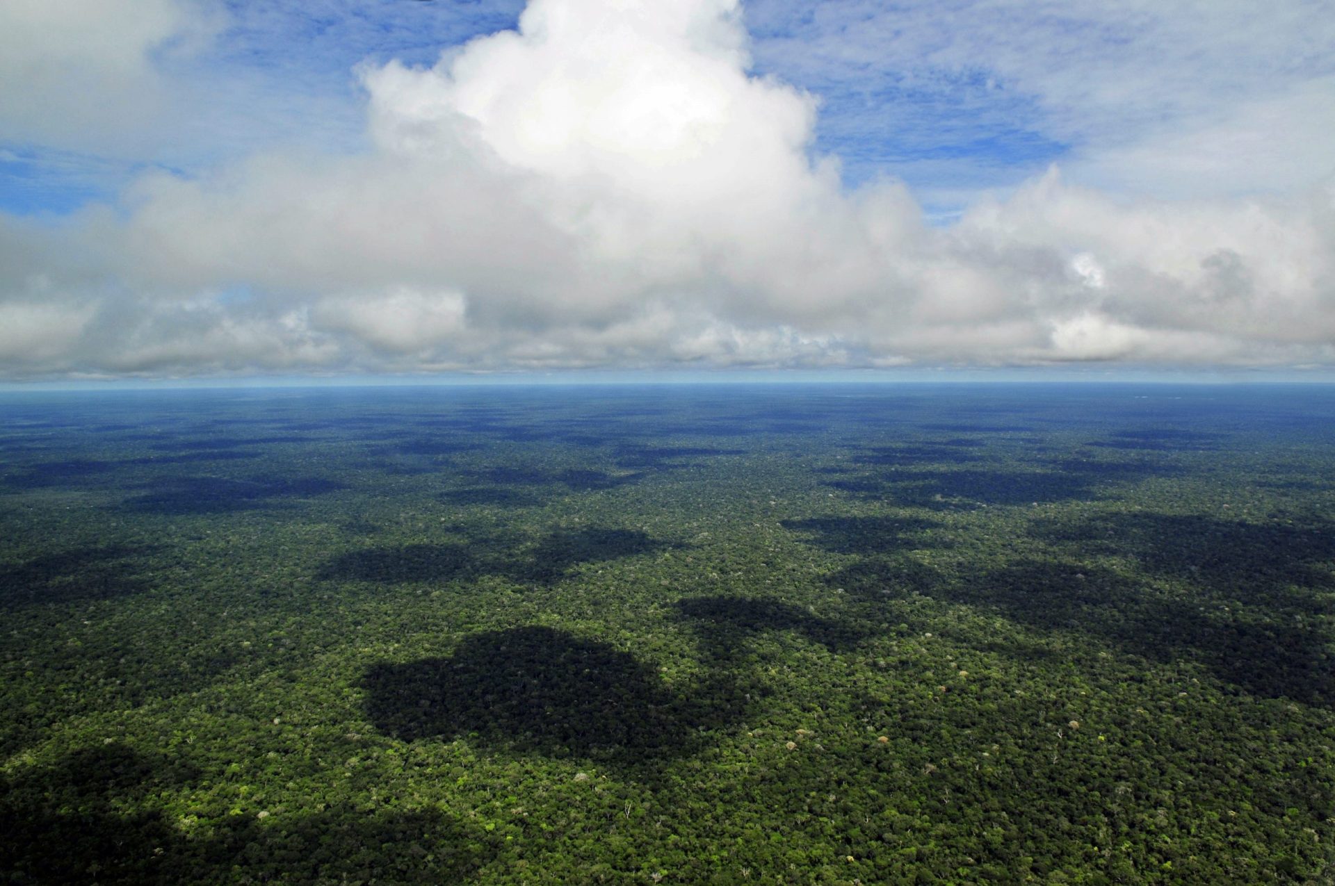 Derramados 8 mil barris de petróleo na Amazónia
