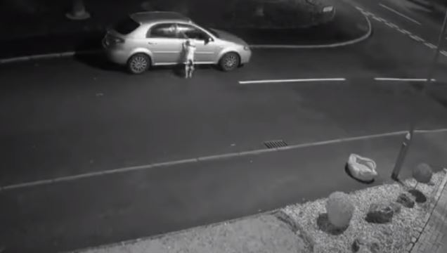 Depois de ser abandonado, cão ainda tentou perseguir carro do dono | Vídeo