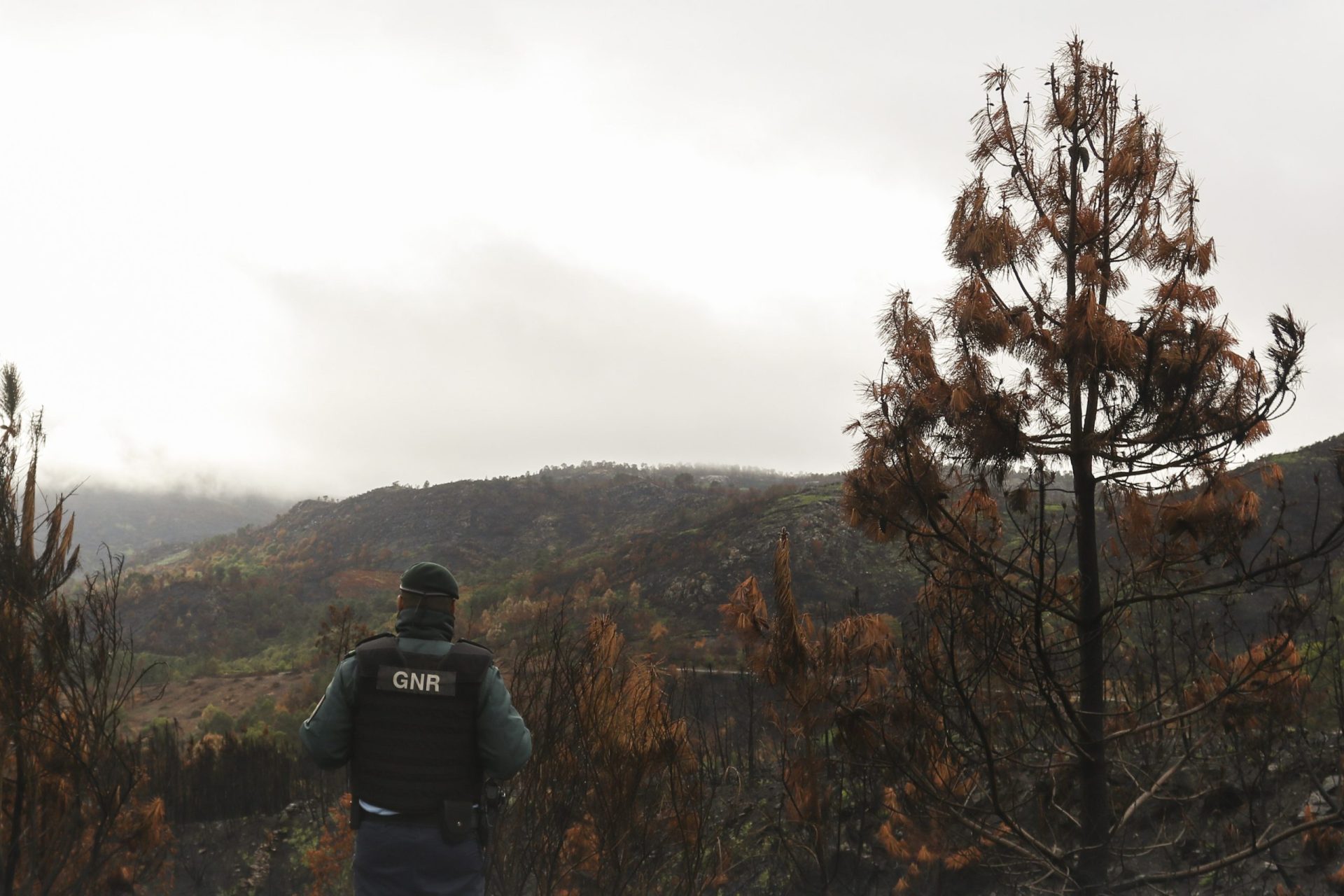 GNR encontra caçador que estava desaparecido numa zona serrana de Valpaços