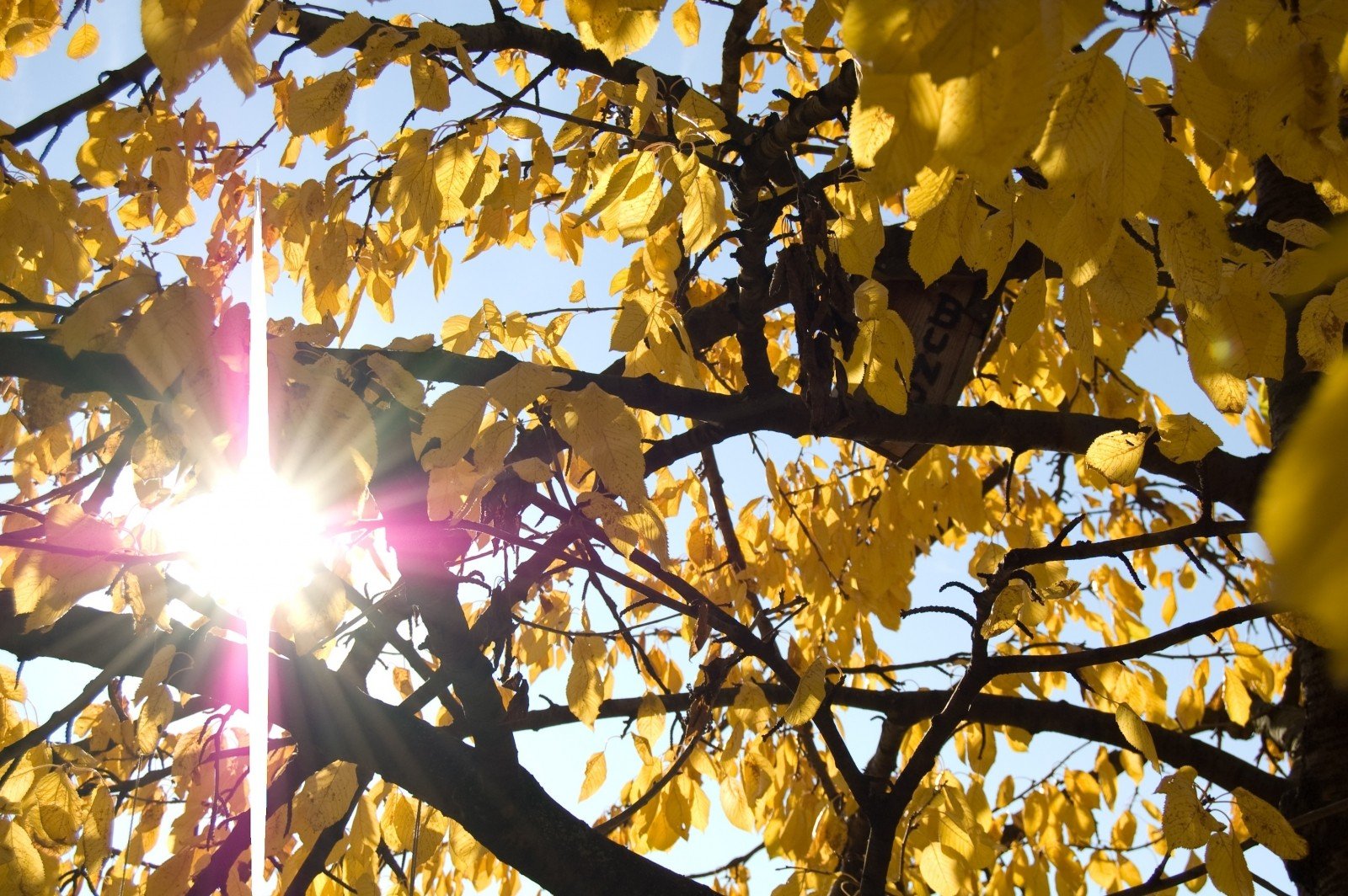 Dia de sol de outono com temperaturas máximas acima dos 20ºC