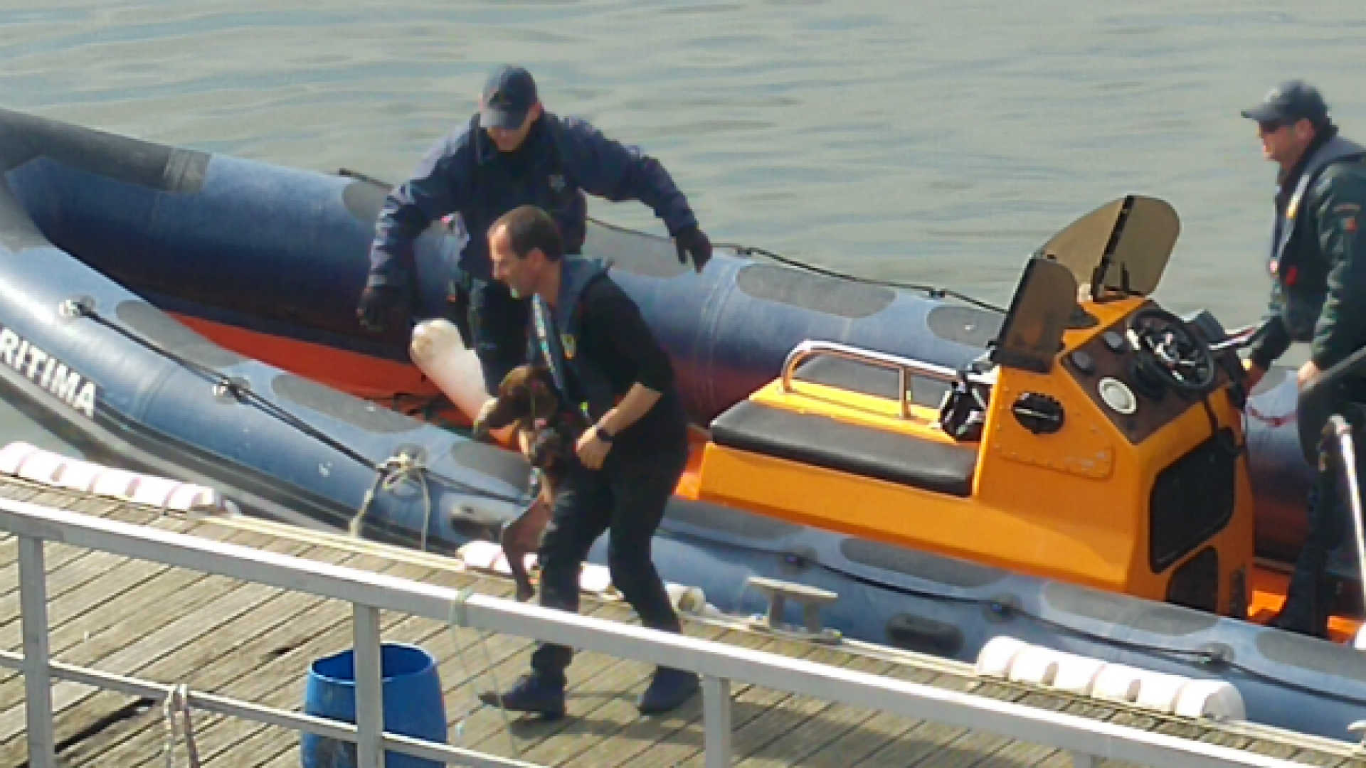 Autoridade marítima resgata cão que caiu ao Douro